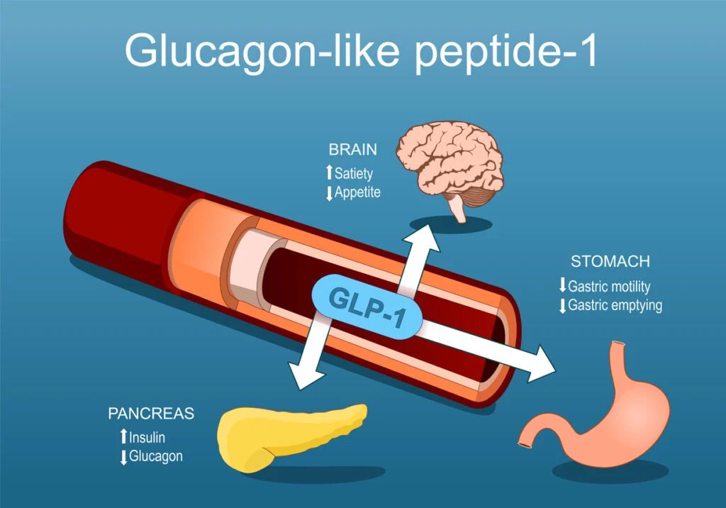GLP-1-agonisten in de literatuur: semaglutide, tirzepatide, cagrilintide en retatrutide